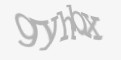 Защитный код